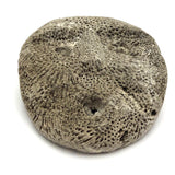 Atoni West Timorese Small Fossilized Coral Mask