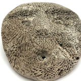 Atoni West Timorese Small Fossilized Coral Mask
