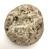 Atoni West Timorese Small Fossilized Coral Mask