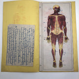 Larry Jones' Physiology Notebook with Cover Drawing and Diagrams