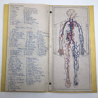 Larry Jones' Physiology Notebook with Cover Drawing and Diagrams