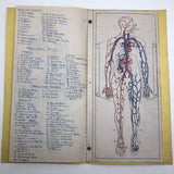 Larry Jones' Physiology Notebook with Cover Drawing and Diagrams