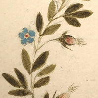 Antique French Watercolor "Souvenir" Wreath