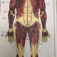 Larry Jones' Physiology Notebook with Cover Drawing and Diagrams