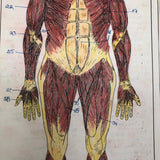 Larry Jones' Physiology Notebook with Cover Drawing and Diagrams