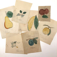 Charming Group of 19th C. Schoolgirl Watercolors of Fruits - Sold as a Set