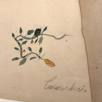 Charming Group of 19th C. Schoolgirl Watercolors of Fruits - Sold as a Set