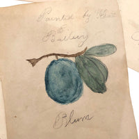 Charming Group of 19th C. Schoolgirl Watercolors of Fruits - Sold as a Set