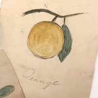 Charming Group of 19th C. Schoolgirl Watercolors of Fruits - Sold as a Set
