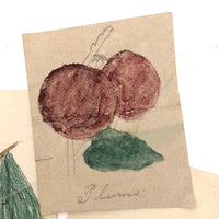 Charming Group of 19th C. Schoolgirl Watercolors of Fruits - Sold as a Set