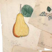 Charming Group of 19th C. Schoolgirl Watercolors of Fruits - Sold as a Set