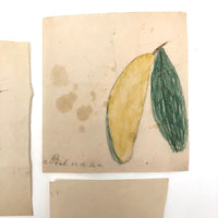 Charming Group of 19th C. Schoolgirl Watercolors of Fruits - Sold as a Set