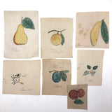 Charming Group of 19th C. Schoolgirl Watercolors of Fruits - Sold as a Set