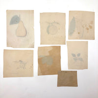 Charming Group of 19th C. Schoolgirl Watercolors of Fruits - Sold as a Set