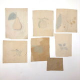Charming Group of 19th C. Schoolgirl Watercolors of Fruits - Sold as a Set