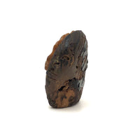 Little Carved Tagua Nut Native American Chief Head