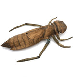 Crazy Giant Carved Cicada with Cast Brass Legs