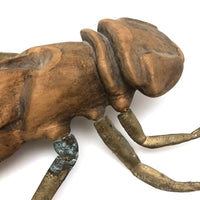 Crazy Giant Carved Cicada with Cast Brass Legs
