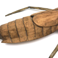 Crazy Giant Carved Cicada with Cast Brass Legs