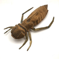 Crazy Giant Carved Cicada with Cast Brass Legs