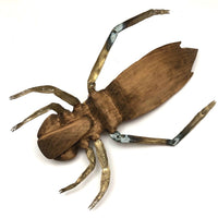 Crazy Giant Carved Cicada with Cast Brass Legs