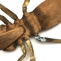 Crazy Giant Carved Cicada with Cast Brass Legs