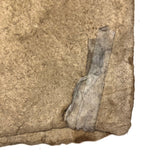 Ink and Watercolor Large Indian Yantra Type Drawing