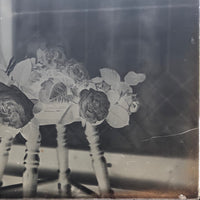 Roses in Window (3 of 3) Glass Plate Negative
