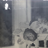 Roses in Window (3 of 3) Glass Plate Negative
