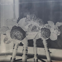 Roses in Window (3 of 3) Glass Plate Negative