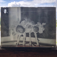 Roses in Window (3 of 3) Glass Plate Negative