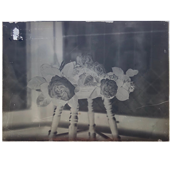 Roses in Window (3 of 3) Glass Plate Negative