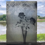 Roses in Window (1 of 3) Glass Plate Negative