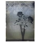 Roses in Window (1 of 3) Glass Plate Negative