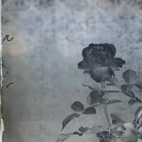 Roses in Window (1 of 3) Glass Plate Negative