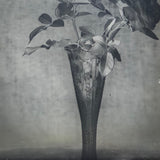 Roses in Window (1 of 3) Glass Plate Negative