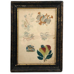 SOLD Lovely Antique Watercolor with Six Theorem Sketches - Shells, Harp, Birds, Pears