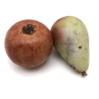 Fantastic Old Stone Fruit Persimmon and Worm Eaten Pear