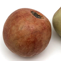 Fantastic Old Stone Fruit Persimmon and Worm Eaten Pear