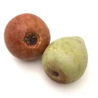 Fantastic Old Stone Fruit Persimmon and Worm Eaten Pear