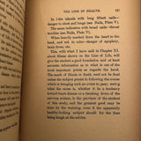 Cheiro's Guide to the Hand, 1900 Hardcover