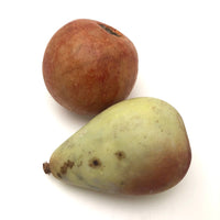 Fantastic Old Stone Fruit Persimmon and Worm Eaten Pear