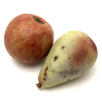 Fantastic Old Stone Fruit Persimmon and Worm Eaten Pear