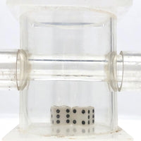 Fun Vintage Lucite Dice Tumbler
