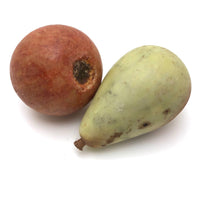 Fantastic Old Stone Fruit Persimmon and Worm Eaten Pear