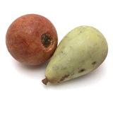 Fantastic Old Stone Fruit Persimmon and Worm Eaten Pear