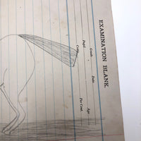 Pencil Drawing of Horse on Lined Paper