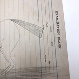 Pencil Drawing of Horse on Lined Paper