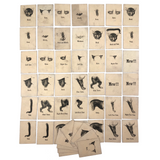 Rare, Curious Victorian Parts of a Cat Card Game - 51 Cards