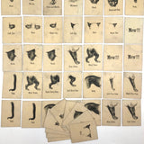 Rare, Curious Victorian Parts of a Cat Card Game - 51 Cards